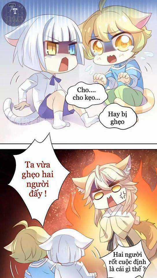 Dưới Móng Vuốt Mèo Chapter 18 trang 7