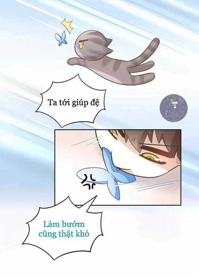 Dưới Móng Vuốt Mèo Chapter 19 trang 1