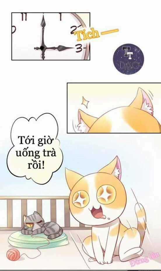 Dưới Móng Vuốt Mèo Chapter 6 trang 1