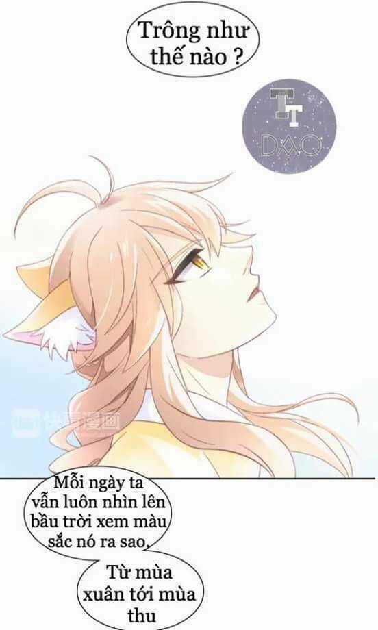 Dưới Móng Vuốt Mèo Chapter 7 trang 15