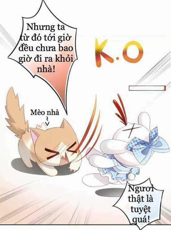 Dưới Móng Vuốt Mèo Chapter 7 trang 20