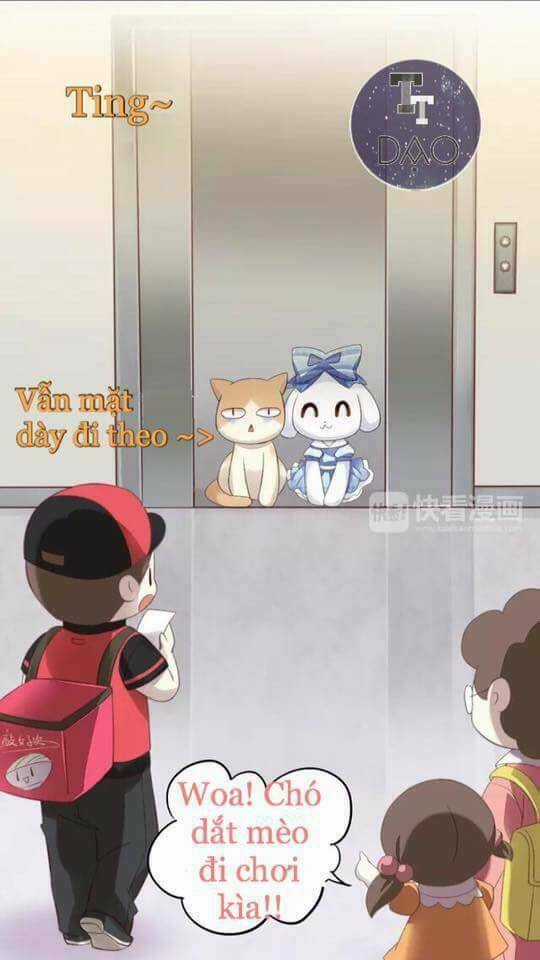 Dưới Móng Vuốt Mèo Chapter 7 trang 24