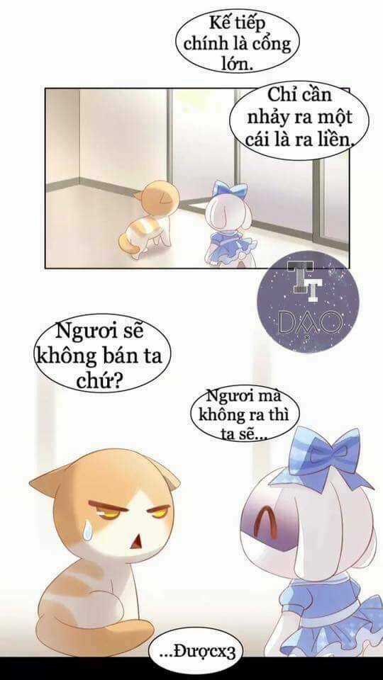 Dưới Móng Vuốt Mèo Chapter 7 trang 29
