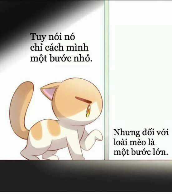 Dưới Móng Vuốt Mèo Chapter 7 trang 30