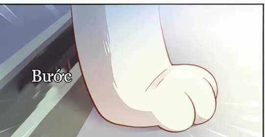 Dưới Móng Vuốt Mèo Chapter 7 trang 31
