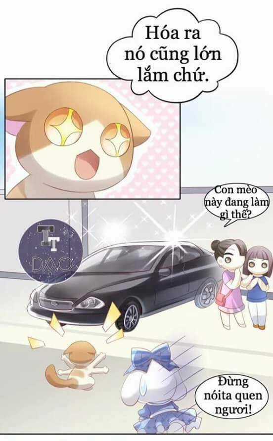 Dưới Móng Vuốt Mèo Chapter 7 trang 36
