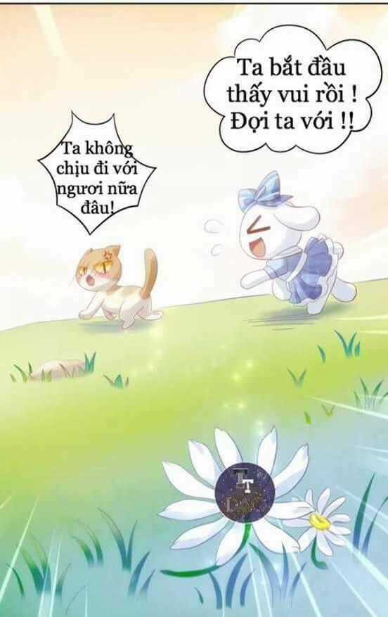 Dưới Móng Vuốt Mèo Chapter 7 trang 49
