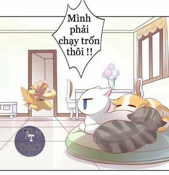 Dưới Móng Vuốt Mèo Chapter 7 trang 5