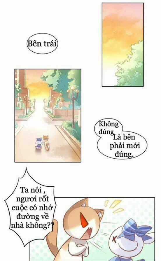 Dưới Móng Vuốt Mèo Chapter 8 trang 1