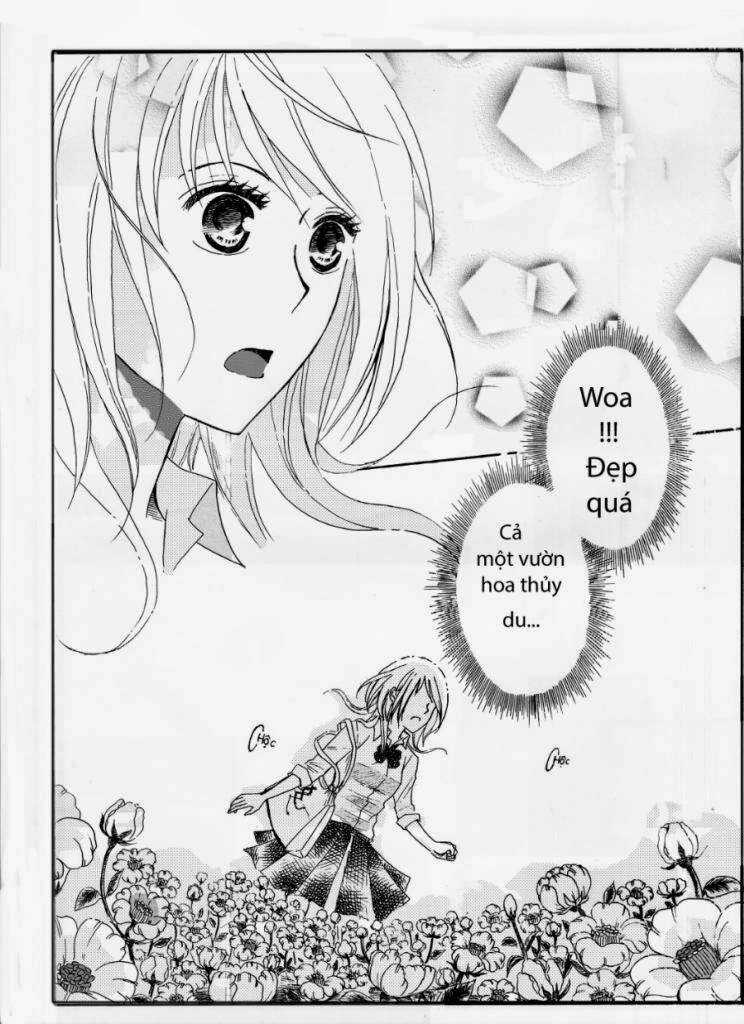 Đuổi Theo Một Bóng Hình Chapter 1 trang 7