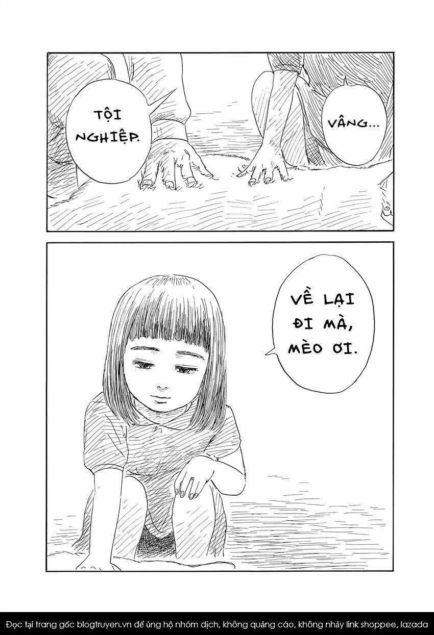 Đường Mòn Máu Chapter 138 trang 13