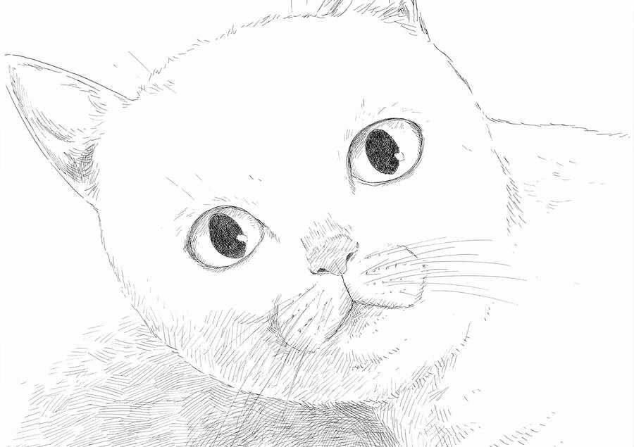 Đường Mòn Máu Chapter 138 trang 17