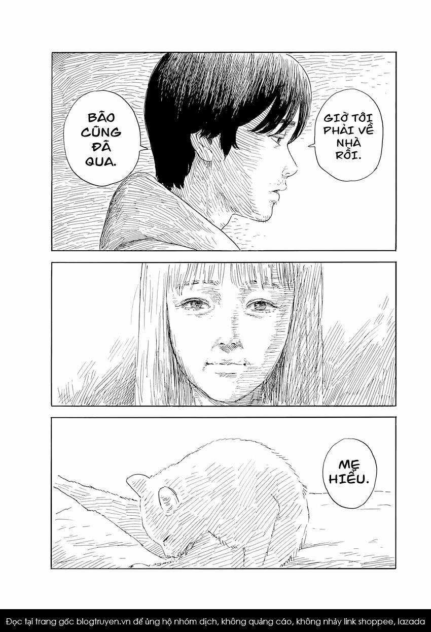 Đường Mòn Máu Chapter 139 trang 14