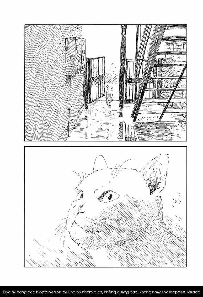 Đường Mòn Máu Chapter 139 trang 22