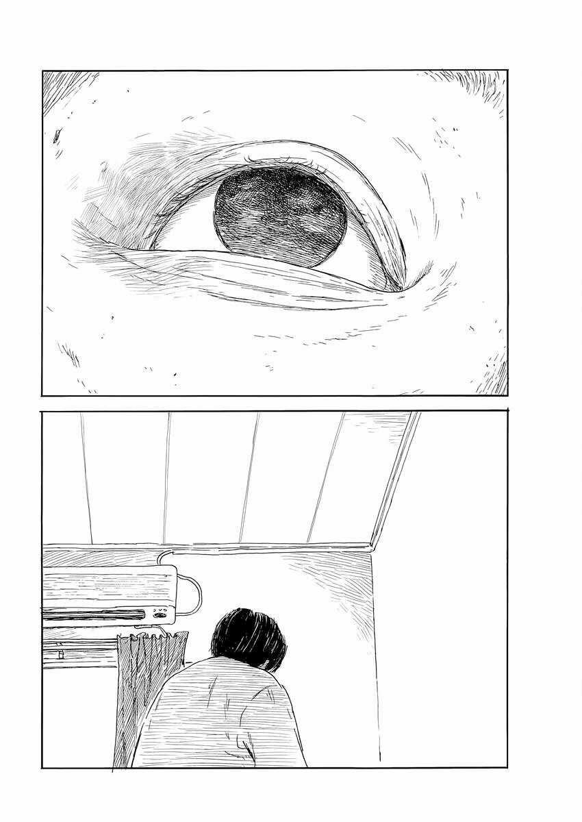 Đường Mòn Máu Chapter 146 trang 10