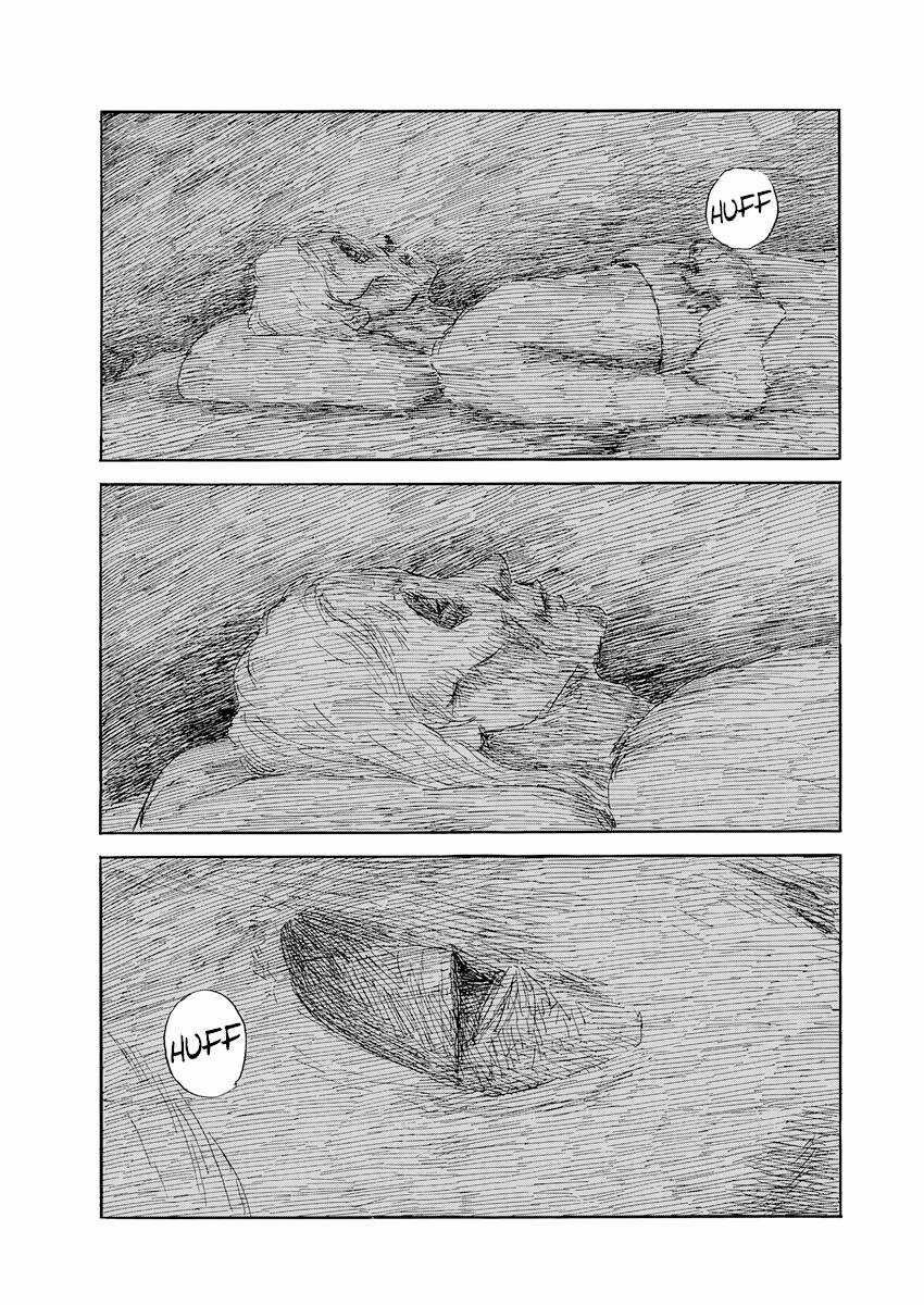 Đường Mòn Máu Chapter 147 trang 13