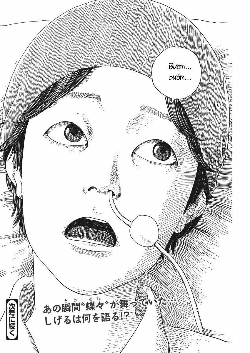 Đường Mòn Máu Chapter 50 trang 24