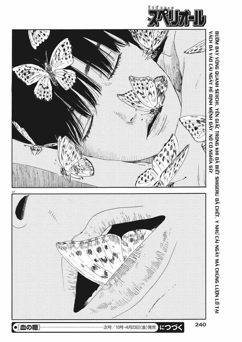 Đường Mòn Máu Chapter 96 trang 24