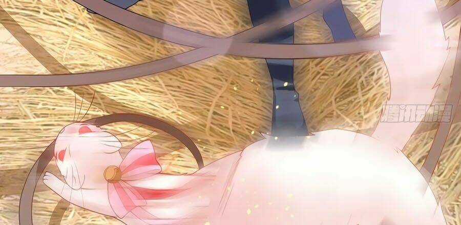 Dưỡng Thú Vi Phi Chapter 12 trang 10