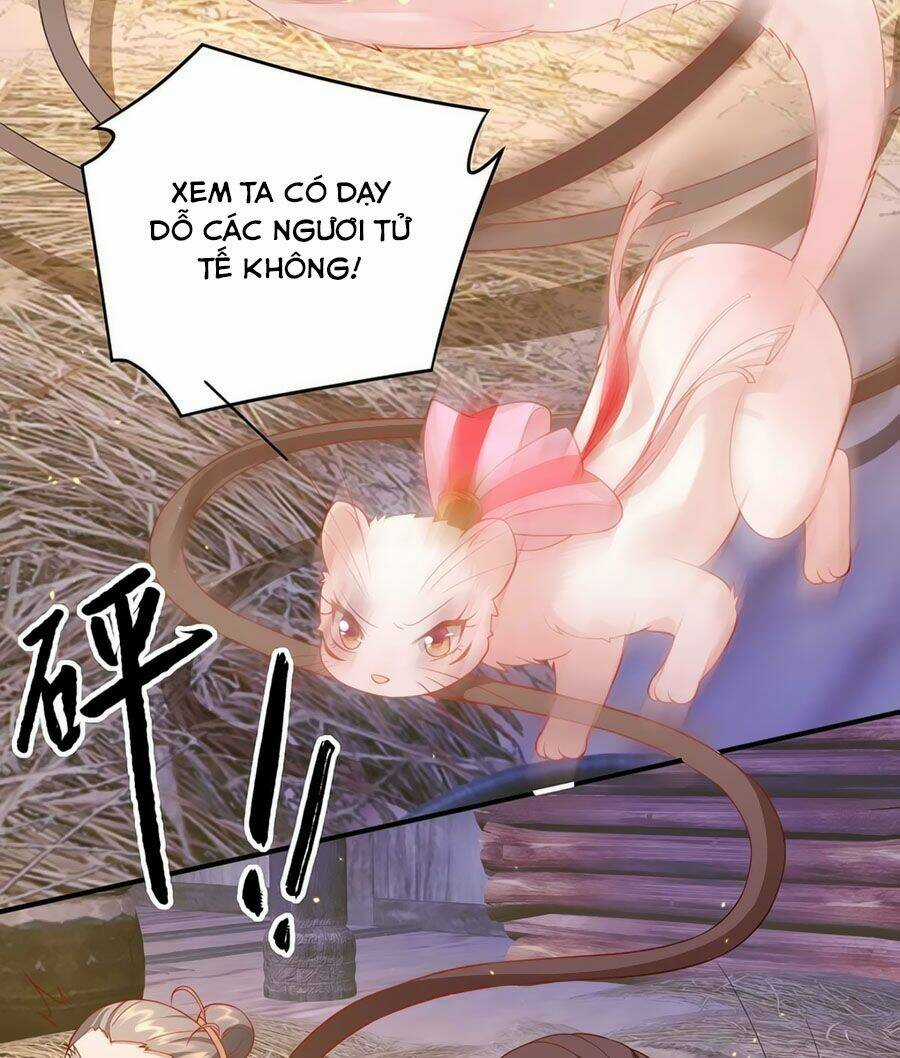 Dưỡng Thú Vi Phi Chapter 12 trang 11