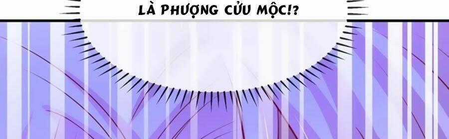 Dưỡng Thú Vi Phi Chapter 16 trang 60