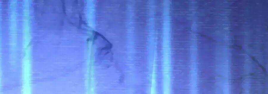 Dưỡng Thú Vi Phi Chapter 2 trang 24