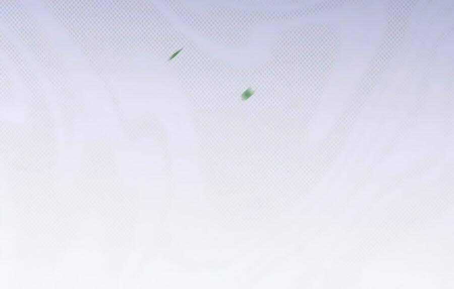 Dưỡng Thú Vi Phi Chapter 21 trang 51