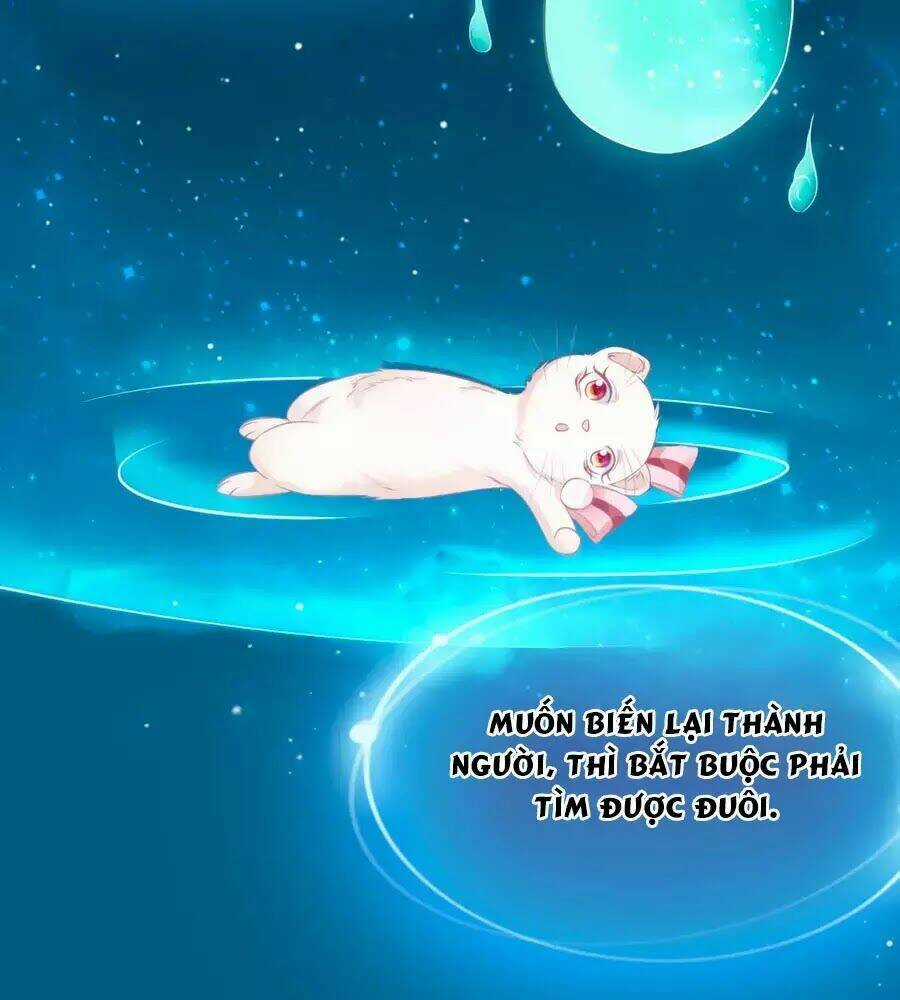 Dưỡng Thú Vi Phi Chapter 4 trang 13