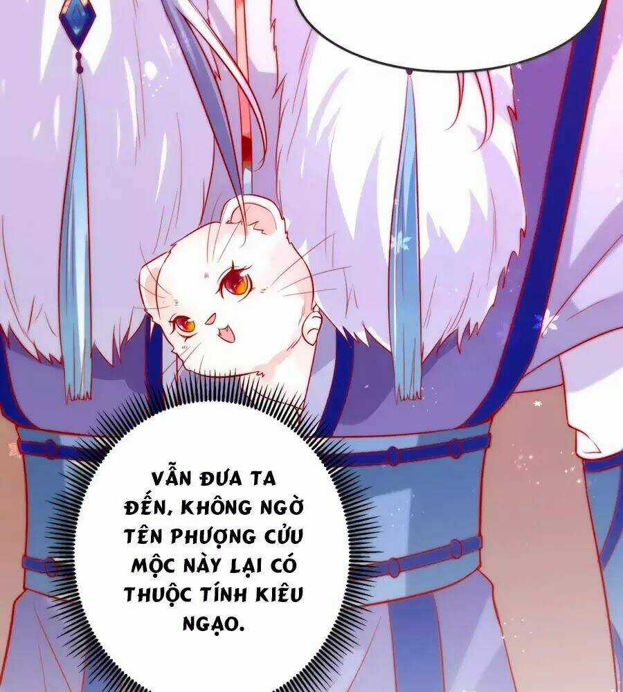 Dưỡng Thú Vi Phi Chapter 4 trang 47