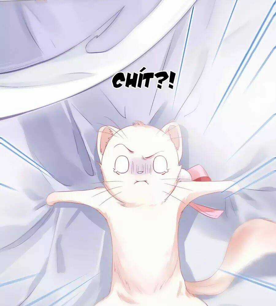 Dưỡng Thú Vi Phi Chapter 4 trang 6