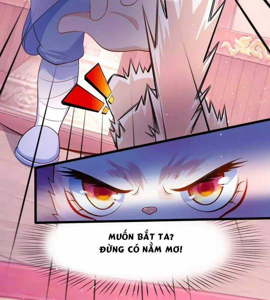 Dưỡng Thú Vi Phi Chapter 4 trang 67