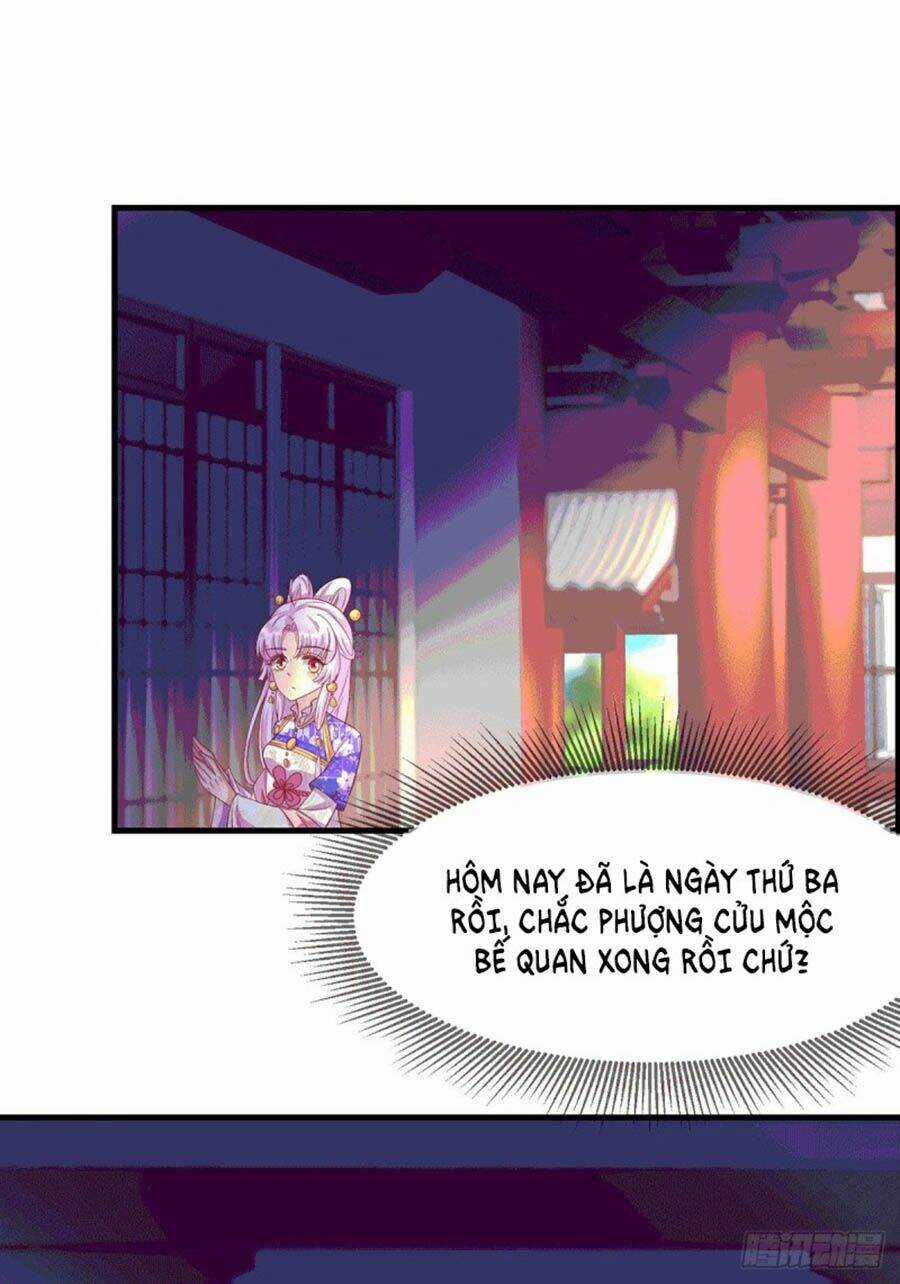 Dưỡng Thú Vi Phi Chapter 67 trang 11