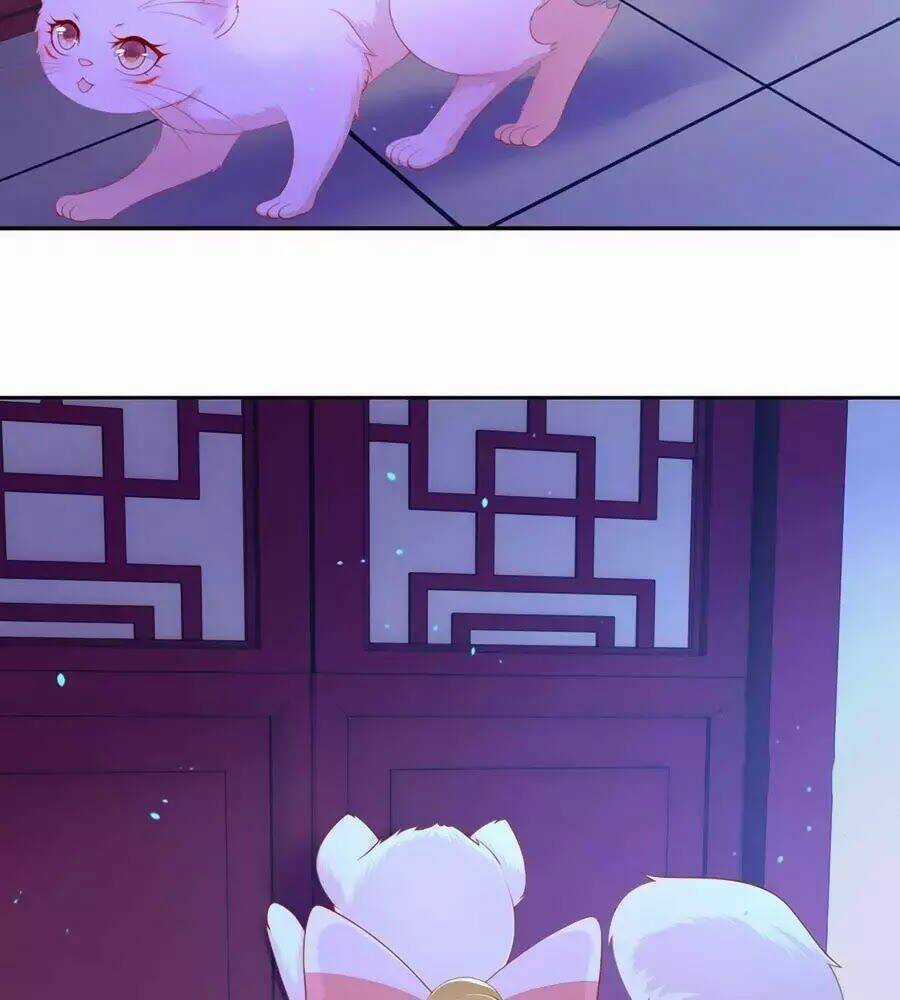 Dưỡng Thú Vi Phi Chapter 8 trang 17