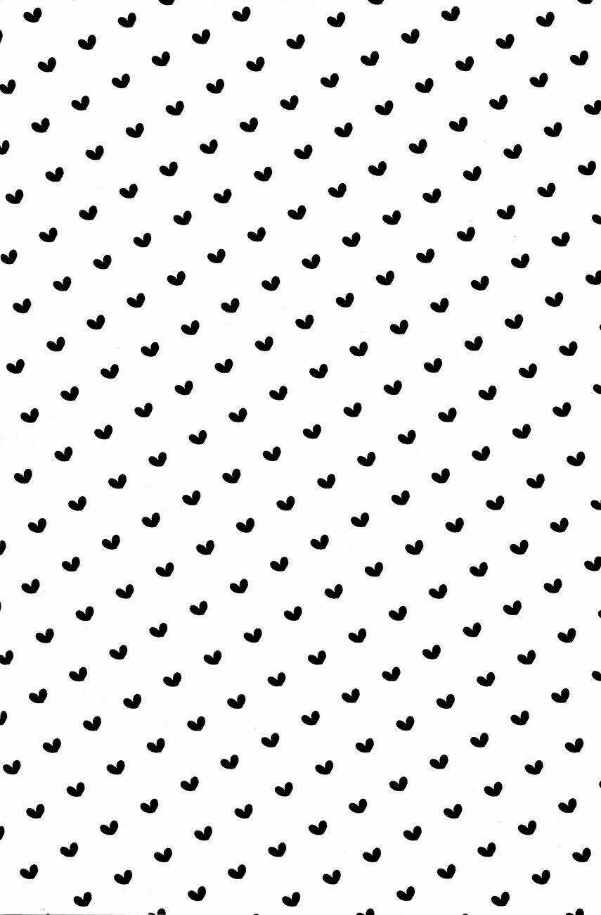 Durarara!! Dj - 24 Hours - Morning Chapter 2 trang 2