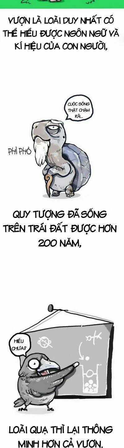Earth, Human, And Animal Chapter 0 trang 7