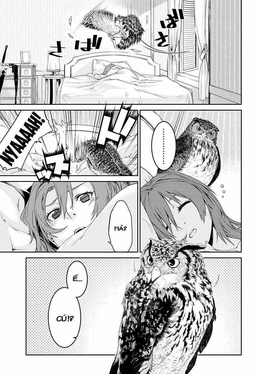 Eiyuu Kyoushitsu Chapter 1.1 trang 5