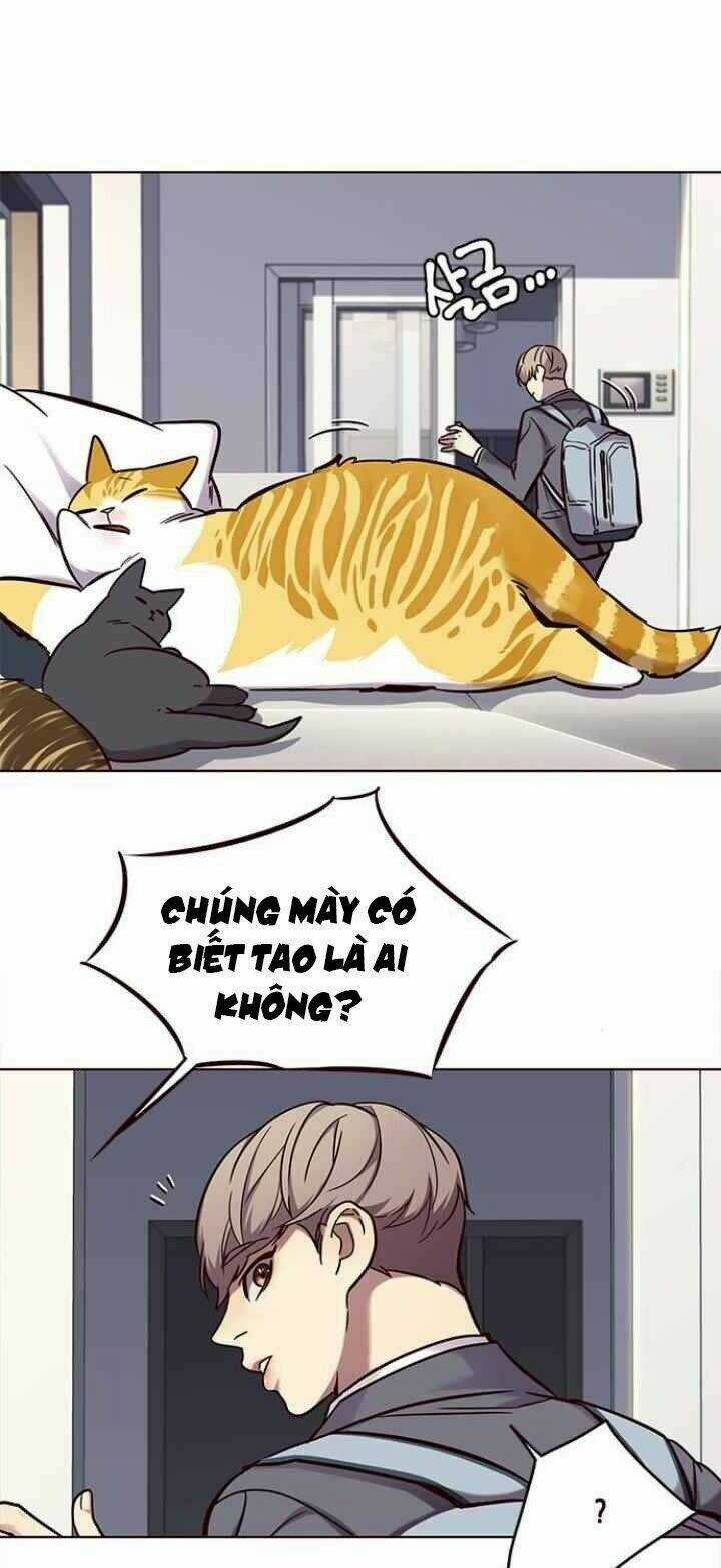 Eleceed - Hoá Thân Thành Mèo Chapter 100 trang 3