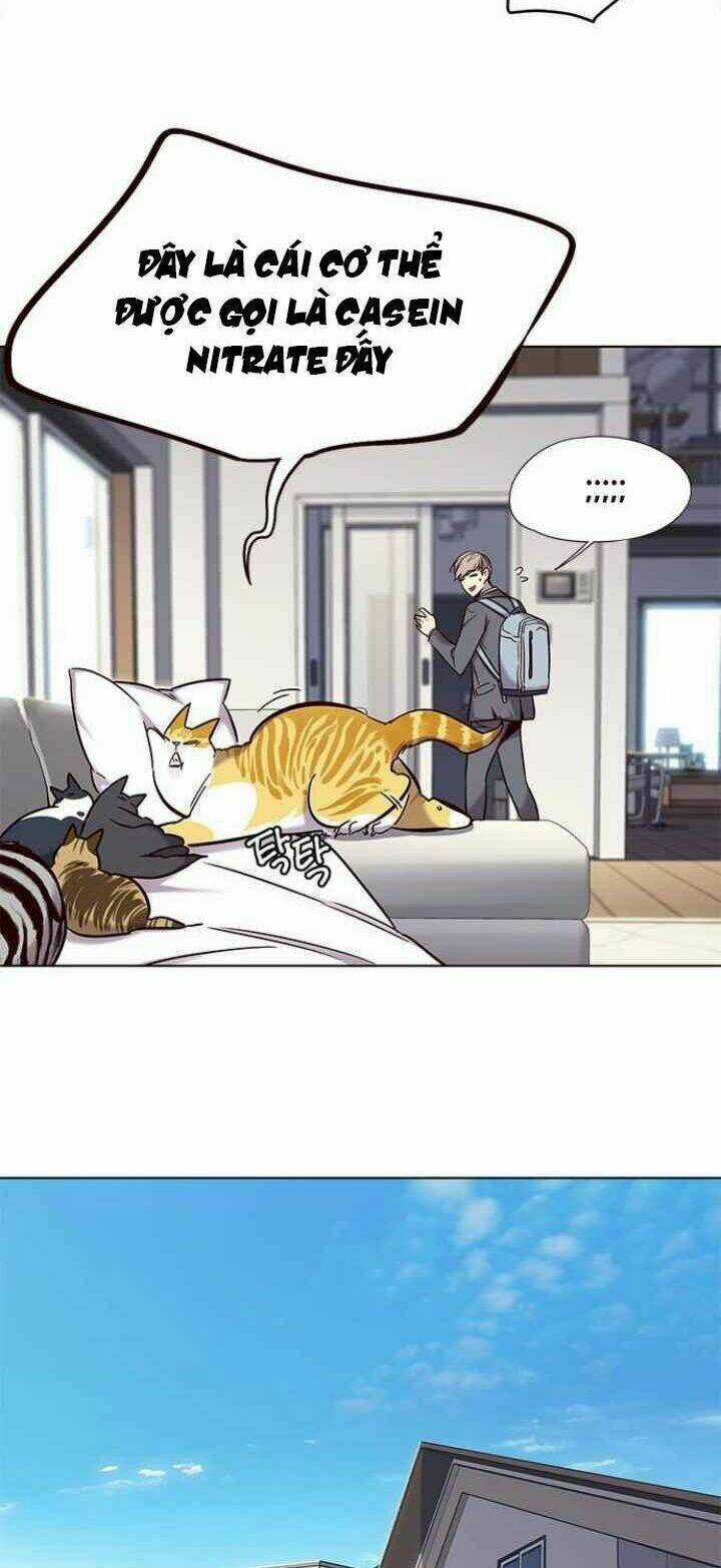 Eleceed - Hoá Thân Thành Mèo Chapter 100 trang 4