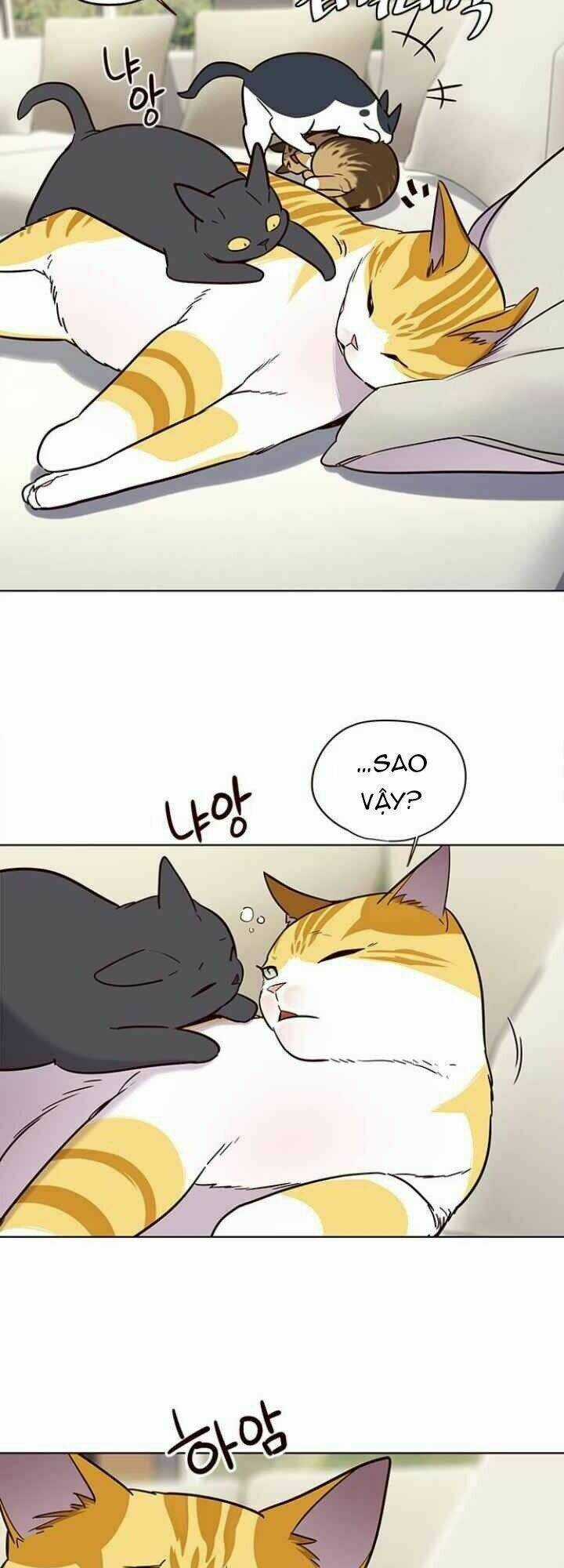 Eleceed - Hoá Thân Thành Mèo Chapter 101 trang 3