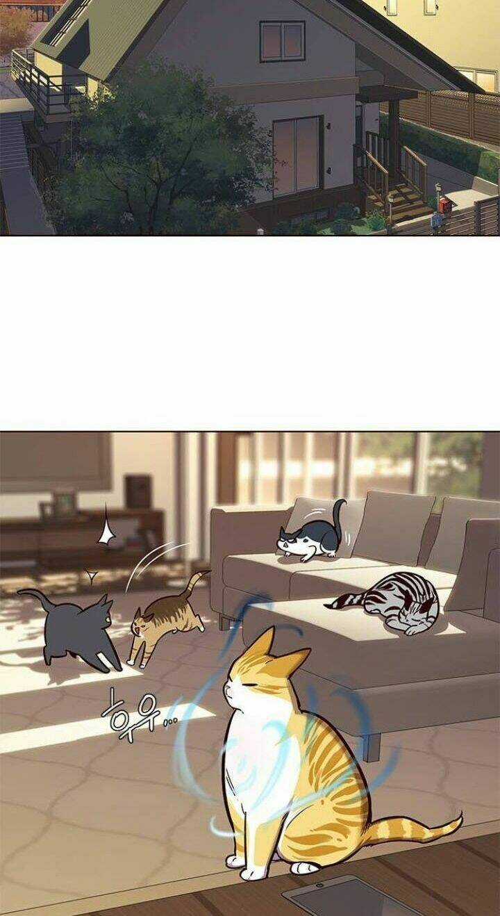 Eleceed - Hoá Thân Thành Mèo Chapter 106 trang 46