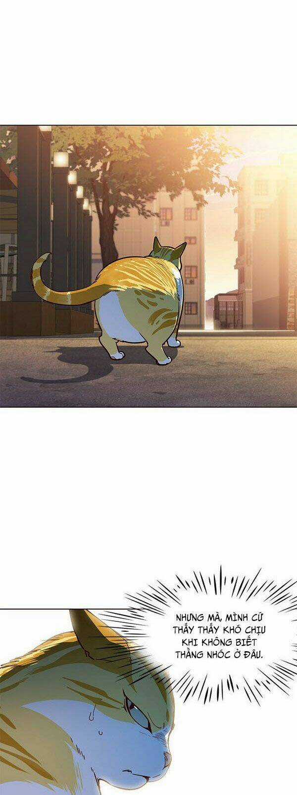 Eleceed - Hoá Thân Thành Mèo Chapter 13 trang 5