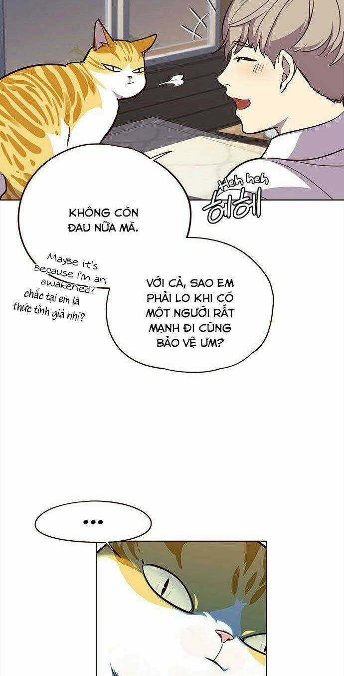 Eleceed - Hoá Thân Thành Mèo Chapter 16 trang 29