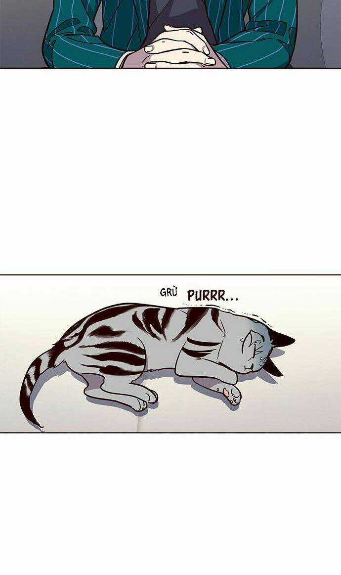 Eleceed - Hoá Thân Thành Mèo Chapter 16 trang 42