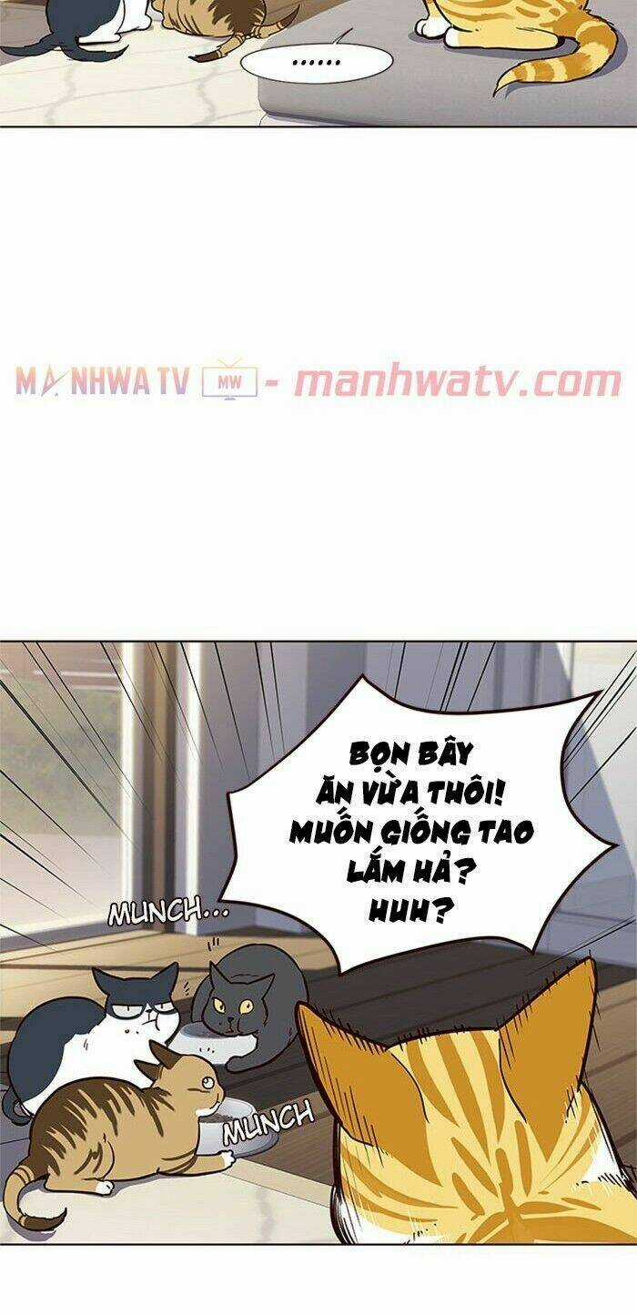 Eleceed - Hoá Thân Thành Mèo Chapter 17 trang 40