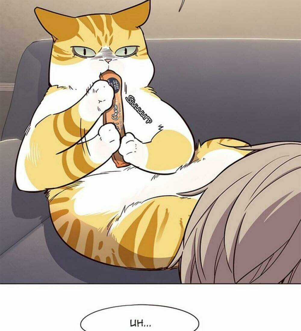 Eleceed - Hoá Thân Thành Mèo Chapter 19 trang 30