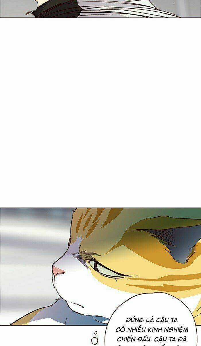 Eleceed - Hoá Thân Thành Mèo Chapter 26 trang 62