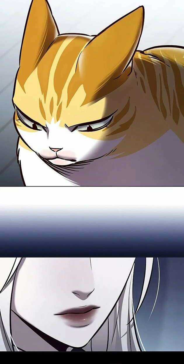 Eleceed - Hoá Thân Thành Mèo Chapter 270 trang 19