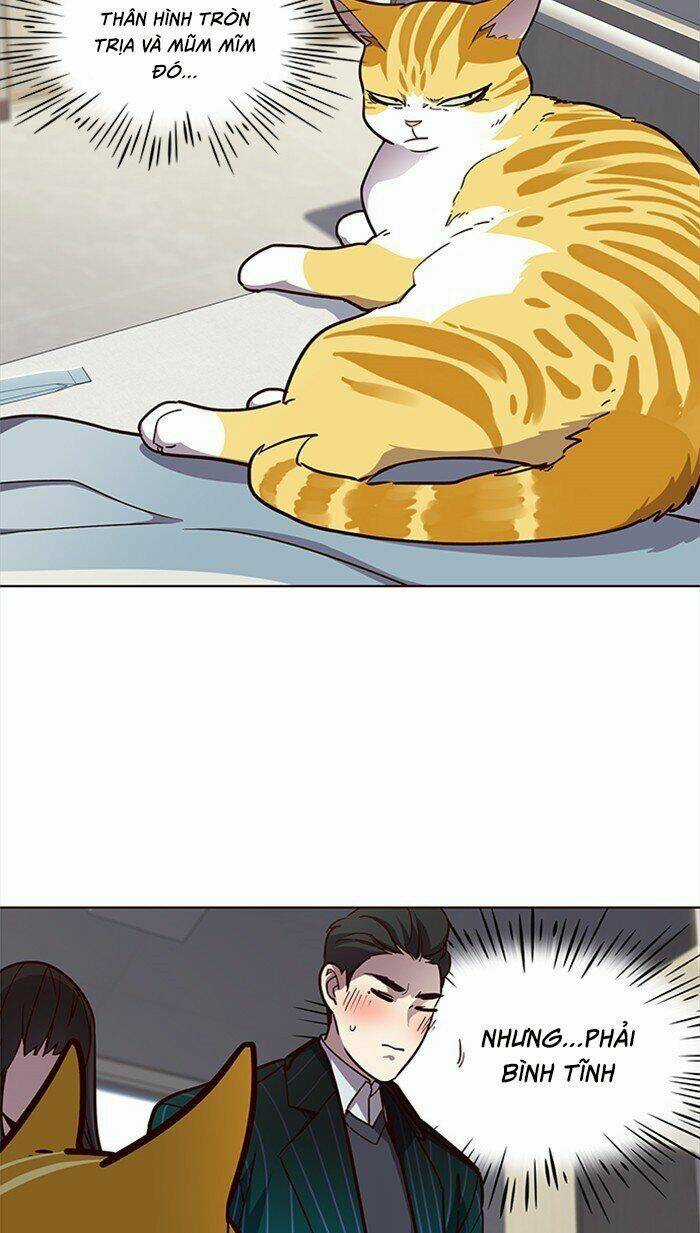 Eleceed - Hoá Thân Thành Mèo Chapter 28 trang 35