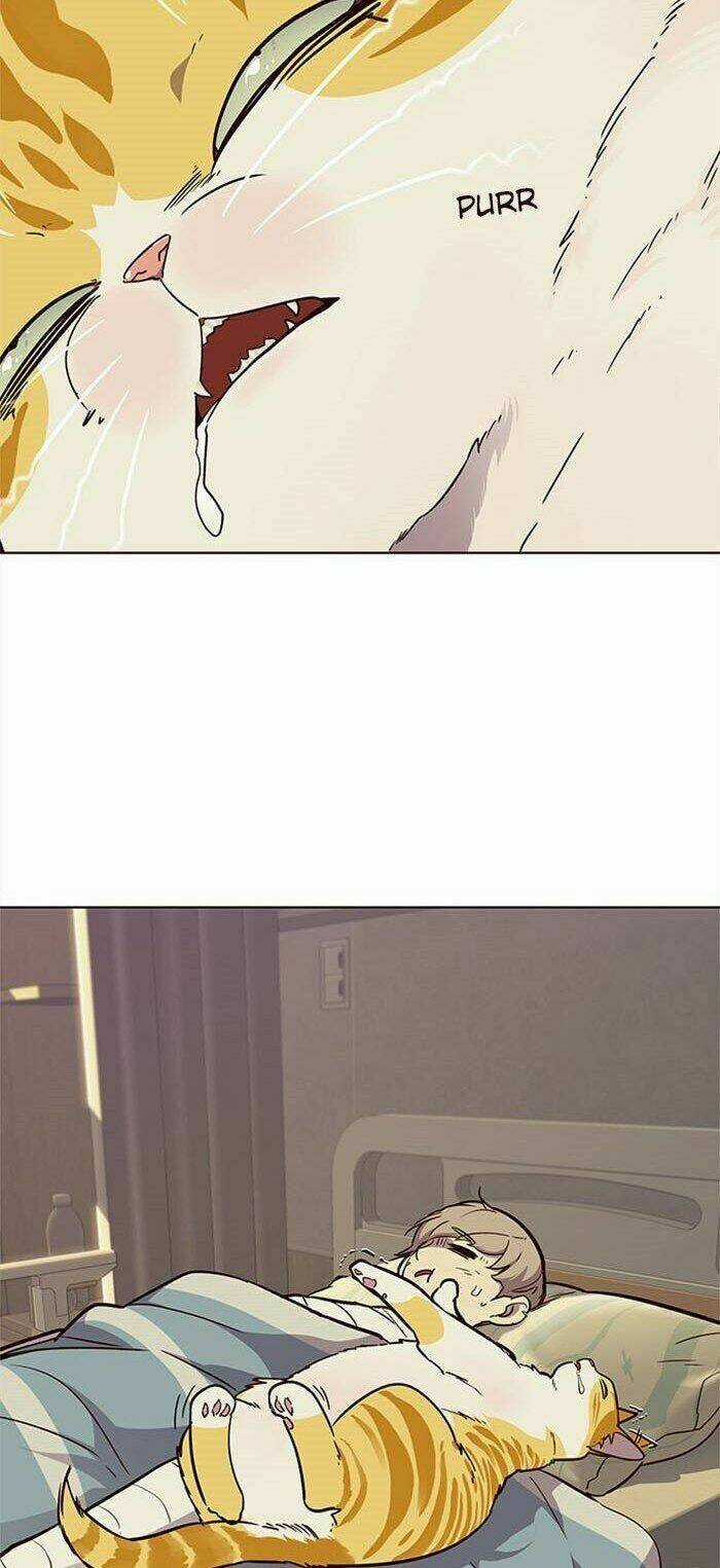 Eleceed - Hoá Thân Thành Mèo Chapter 30 trang 65