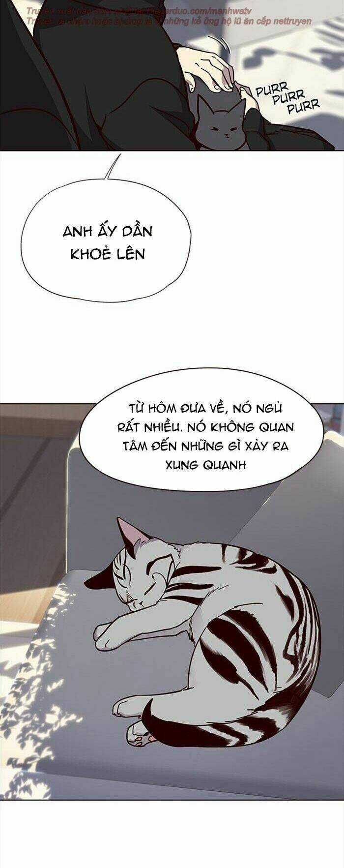 Eleceed - Hoá Thân Thành Mèo Chapter 34 trang 48